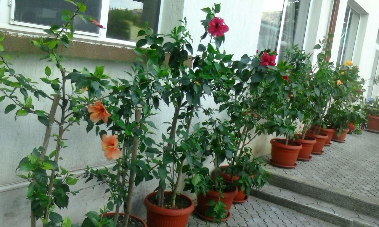Paradise Hotel Madżarowo Zewnętrze zdjęcie